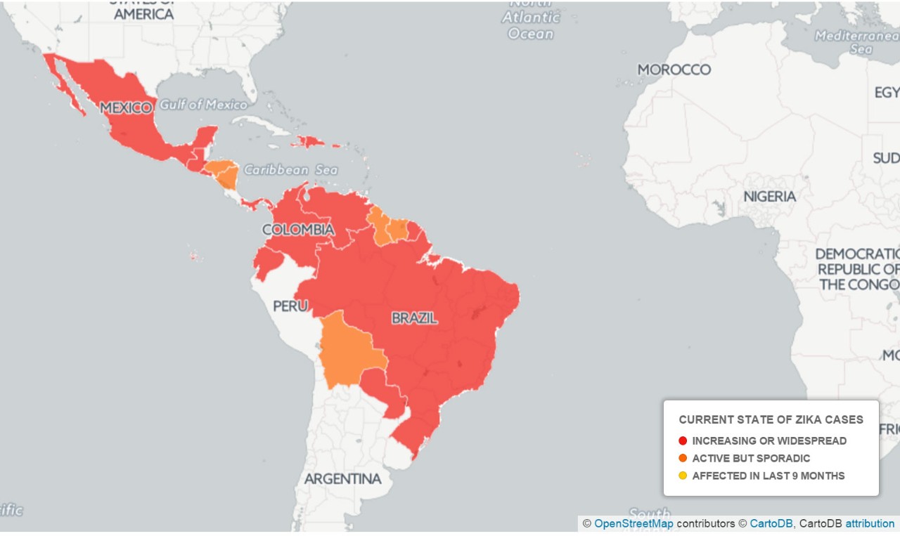 Zika Virus Symptoms and Microcephaly