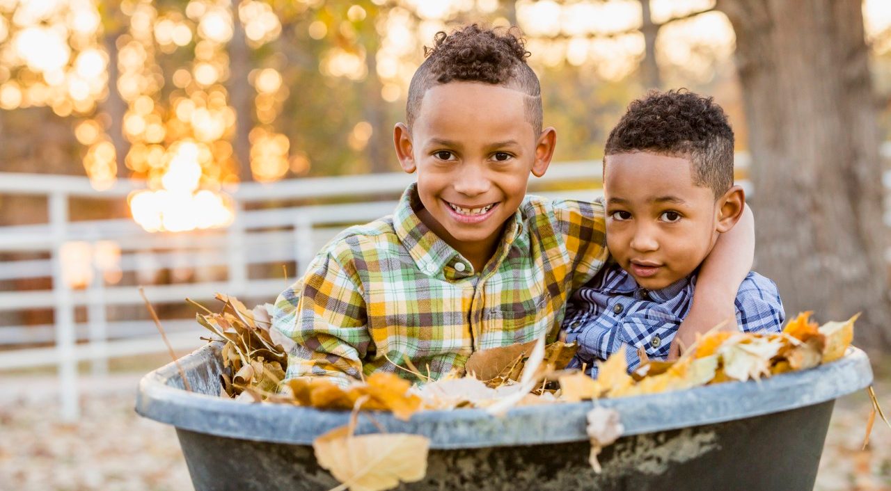 08 Nov 2014, Lehi, Utah, USA --- Brothers hugging in autumn leaves in wheelbarrow --- Image by © Mike Kemp/Blend Images/Corbis