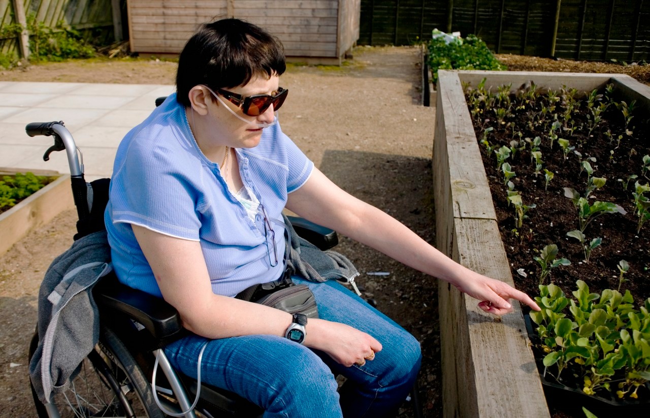 Lancashire, England, UK --- Woman Looking At Plants In Her Garden Allotment; Bolton Lancashire England --- Image by © Christine Giles/Design Pics/Corbis