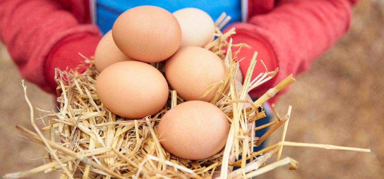 30 Jun 2014 --- Young girl holding fresh eggs, focus on eggs --- Image by © Laura Doss/Image Source/Corbis