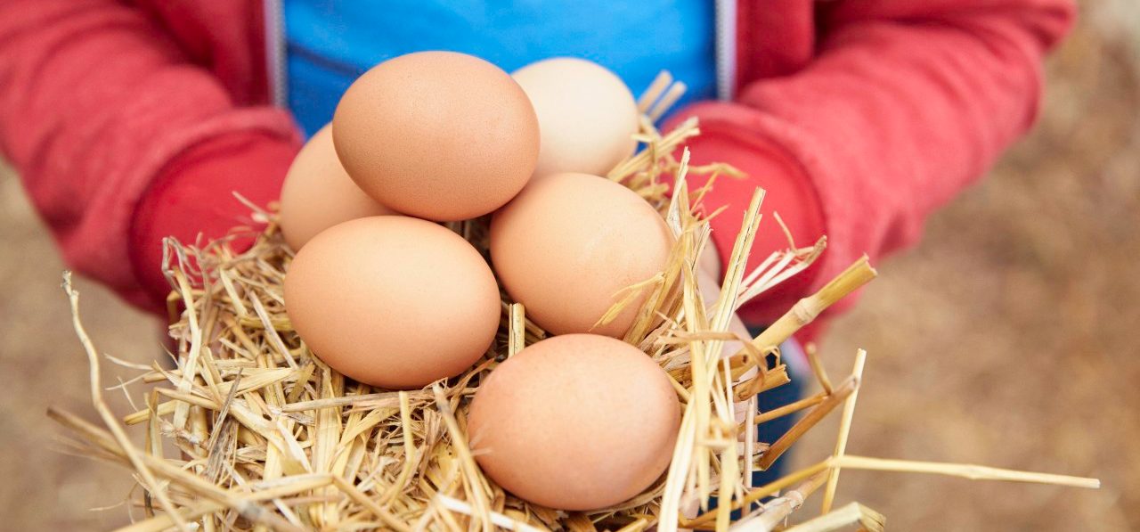 30 Jun 2014 --- Young girl holding fresh eggs, focus on eggs --- Image by © Laura Doss/Image Source/Corbis